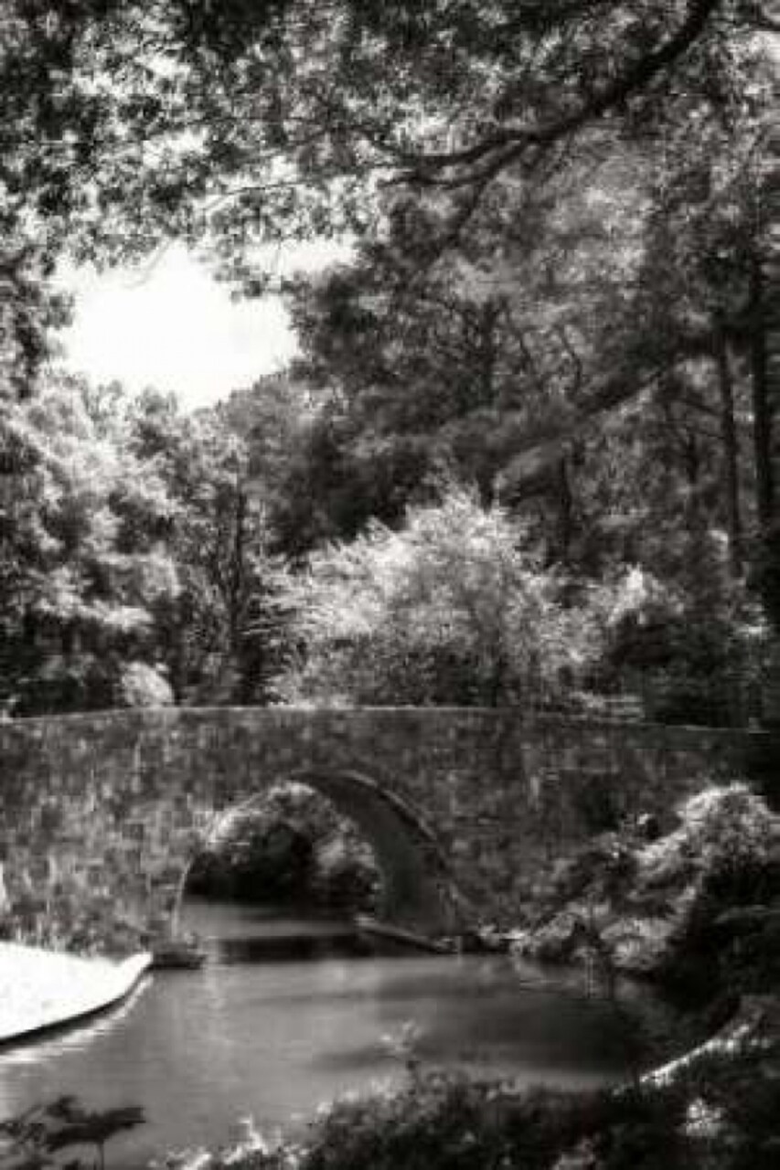 Garden Bridge I Poster Print by Alan Hausenflock - Item # VARPDXPSHSF1381
